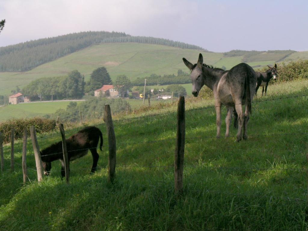 Agroturismo Kasa Barri Bermeo Exteriör bild